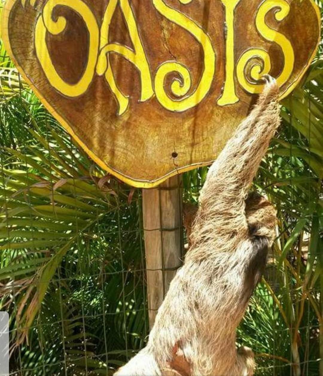 普拉亚多Chale "Oasis"别墅 外观 照片